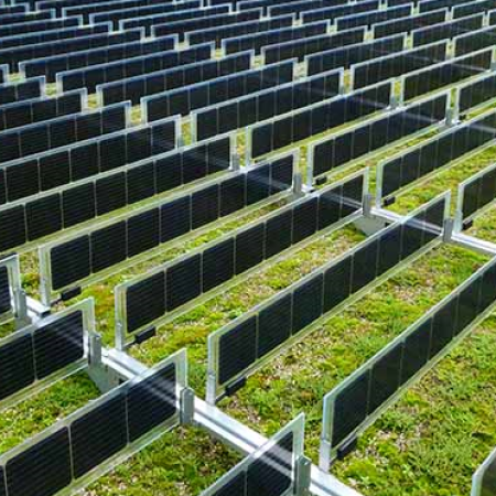 Vertikaal PV sedumdak